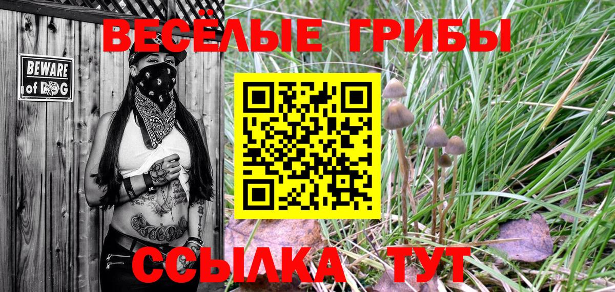 Калуга  Псилоцибиновые грибы Psilocybine cubensis  Вход с VPN 